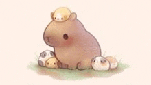 a capybara is sitting next to a group of guinea pigs in the grass .