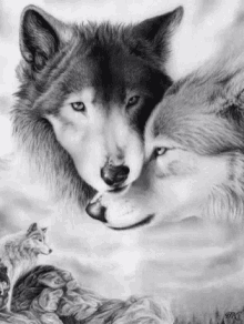 Love Wolf GIF - Love Wolf Furr GIFs
