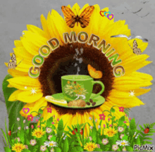 Good Morning Cup GIF - Good Morning Morning Cup GIFs