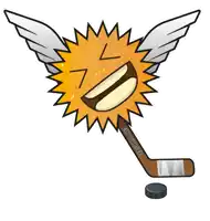a cartoon drawing of a sun with wings and a hockey stick with the name eric sursee on it