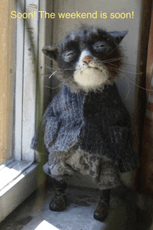 a picture of a stuffed cat with the words soon the weekend is soon