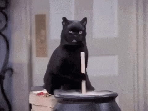 Haha Stir The Pot GIF - Haha Stir The Pot Cat GIFs