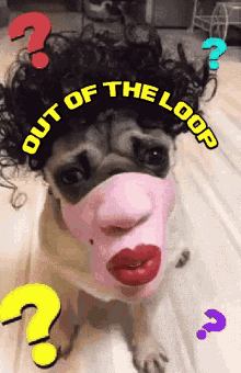 Out Of The Loop Funny Animals GIF - Out Of The Loop Funny Animals Pugs GIFs
