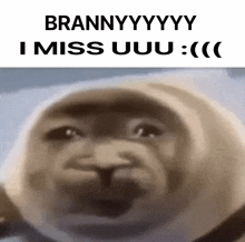 a close up of a seal 's face with the words brannyyyyy i miss uuu : ( )