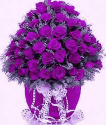 flowers purple heart bloom sparkle