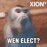 Wen Elect Xion GIF - Wen Elect Xion Layer 1 GIFs