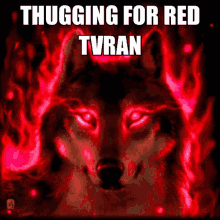 Turan Thugging For Turan GIF