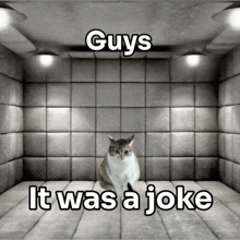 a cat sitting in a room with the words guys it was a joke below it