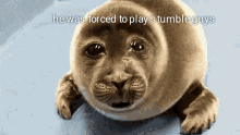 forced to play stumble guys