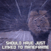 a picture of a lion with the words should have just linked to maneframe above it