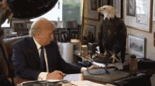 Eagle Trump GIF - Eagle Trump Get Out GIFs
