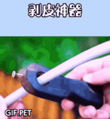 Gif Pet Screw GIF - Gif Pet Screw Hacks GIFs