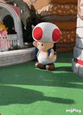 Toad GIF - Toad GIFs