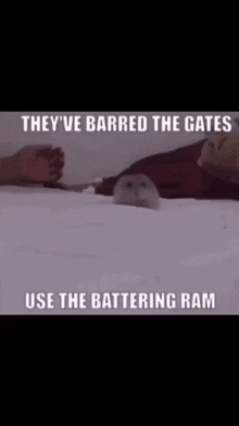 Hamster Ram Barred The Gates GIF - Hamster Ram Barred The Gates Kill Yourself GIFs