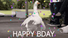 Confetti Birthday GIF - Confetti Birthday Goose GIFs