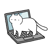 Cat Cat On Computer Sticker - Cat Cat On Computer Kennysgifs Stickers