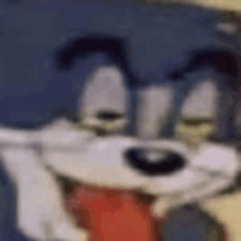 Tom Tom And Jerry GIF - Tom Tom And Jerry Herve GIFs