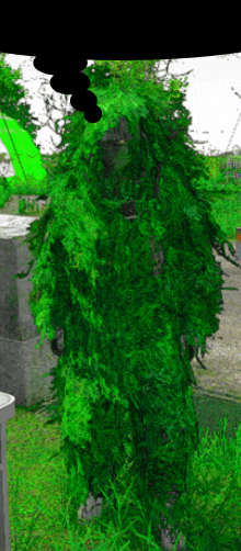 a person covered in green leaves stands in a field