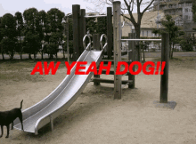Heeeelllll Yaaaaaa GIF - Dog Funny Slide GIFs