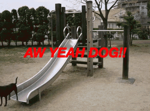 Dogs Slide GIF - Dogs Slide Playground - Discover & Share GIFs