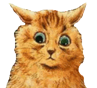 a close up of a cat 's face with a white background