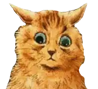 a close up of a cat 's face with a white background