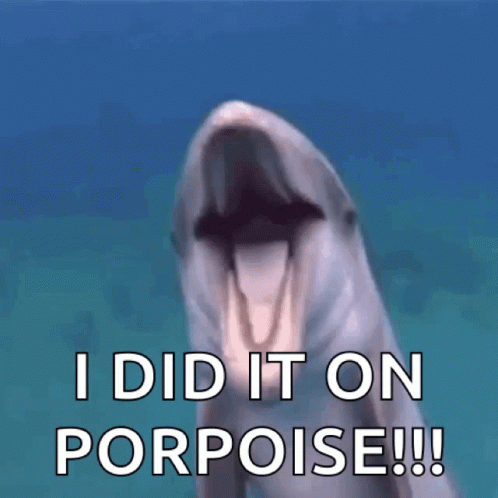 Dolphin Funny GIF - Dolphin Funny Animals - Discover & Share GIFs