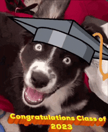 Congratulations Class Of 2023 Graduation GIF - Congratulations Class Of 2023 Graduation Graduation Cap GIFs