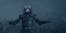 a man in armor with a bird mask on his head is standing in front of a crowd .