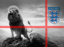 England GIF