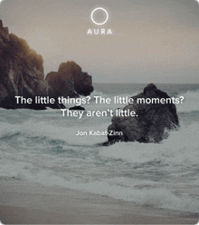 the little things the little moments they aren 't little written by jon kabat-zinn