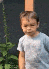 a young boy wearing a blue shirt with a picture of an elephant on it