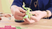 Vegetable Herb GIF - Vegetable Herb Spice GIFs