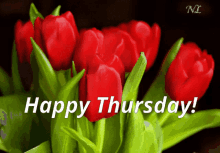 Thursday Flowers GIF - Thursday Flowers Tulips GIFs