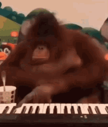 Oceanmam Orangutan GIF - Oceanmam Orangutan Keyboard GIFs