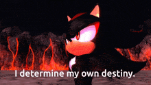 shadow the hedgehog says " i determine my own destiny " in a video game scene