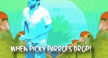 Picky Parrots Pickyparrot GIF - Picky Parrots Pickyparrot GIFs