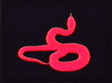 Snake GIF - Snake GIFs