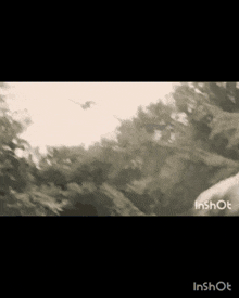 a black and white photo of a winged horse flying through the air .