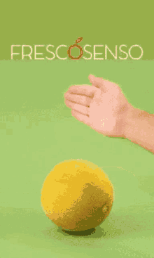 Frescosenso Slice GIF - Frescosenso Slice Fruit GIFs