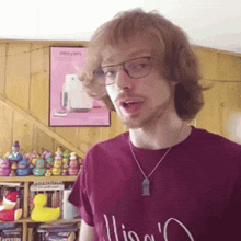 a man wearing glasses and a purple shirt stands in front of a shelf of stuffed ducks