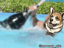 Pool Mooney GIF - Pool Mooney Liquidity Pool GIFs