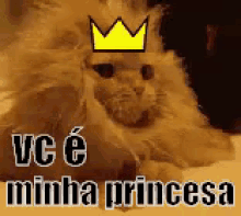 Você é Minha Princesa / Rainha  / Princesinha / Gato GIF - Cat Princess Crown GIFs