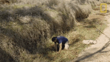 Digging For Water Primal Survivor GIF - Digging For Water Primal Survivor Finding Water In The Desert GIFs