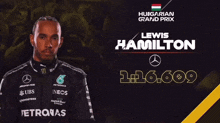 Lewisdhl Lewis Hamilton GIF - Lewisdhl Lewis Hamilton GIFs