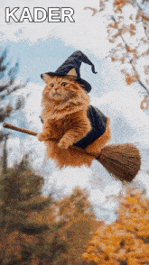 a cat dressed as a witch is flying on a broom with the word kader above it