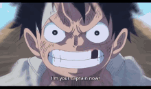 I Am Your Captain Now Monkey D Luffy GIF - I Am Your Captain Now Monkey D Luffy One Piece GIFs