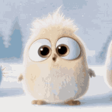 Cute Adorable GIF - Cute Adorable Angry Bird GIFs