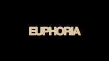 Euphoria Intense Happiness GIF - Euphoria Intense Happiness High GIFs