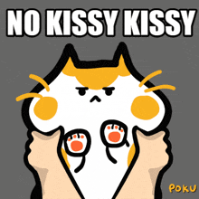a cartoon of a cat with the words no kissy kissy